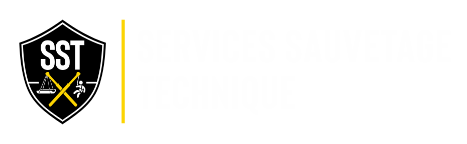 Logo SST
